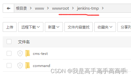 宝塔 安装/使用Jenkins-图文小白教程_Jenkins_32