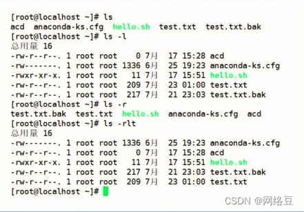 【新星计划Linux】——常用命令（1）_原力计划_03