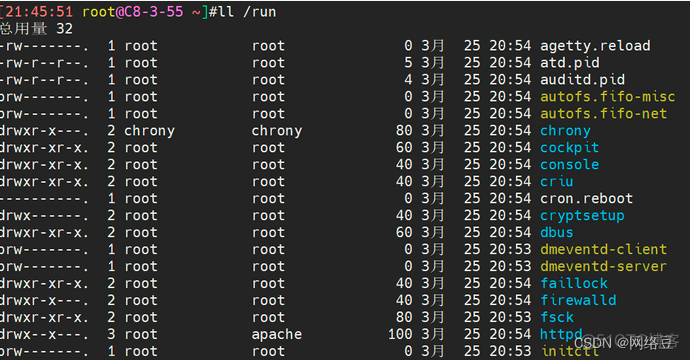 【新星计划Linux】——常用命令（1）_运维_04