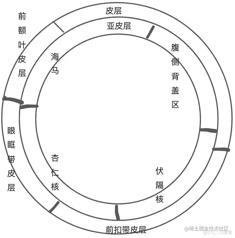 内啡肽和多巴胺真的是对立关系吗？如何正确戒瘾？_生活总结_02