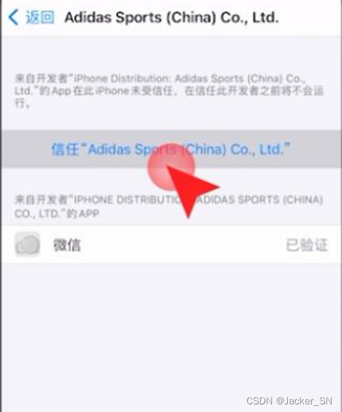 ios自动添加信任代码 iphone软件添加信任_ios_05