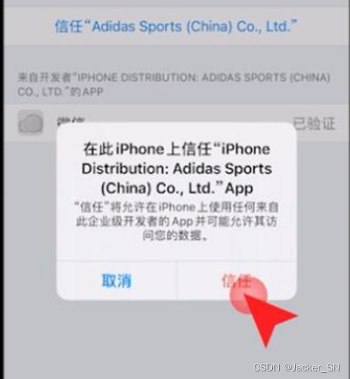 ios自动添加信任代码 iphone软件添加信任_ios_06