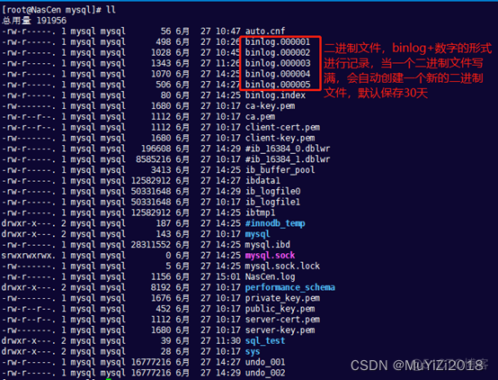 8 mysql windows 日志 mysql的日志_二进制日志_04