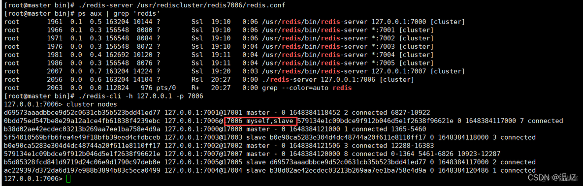 redis cluster 缺点 redis cluster keys_redis cluster 缺点_15