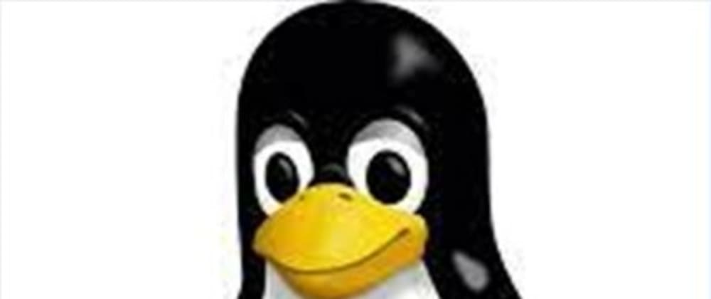 适合初学者使用 Linux 机器_文本文件