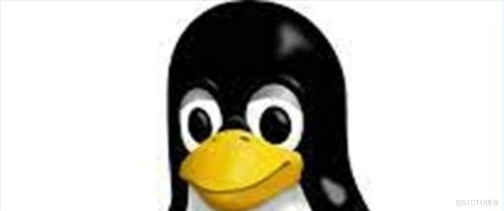 适合初学者使用 Linux 机器_主目录