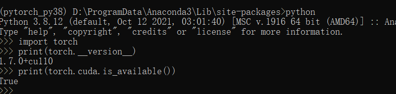 conda当前环境pytorch版本 conda创建pytorch环境_虚拟环境_08