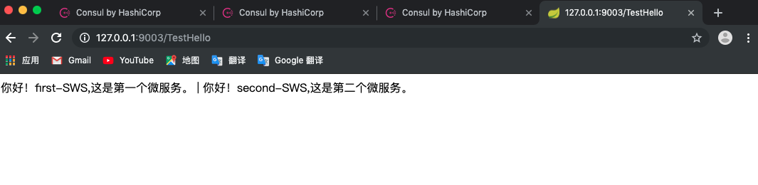 consul服务发现mysql consul server_Spring Boot_06