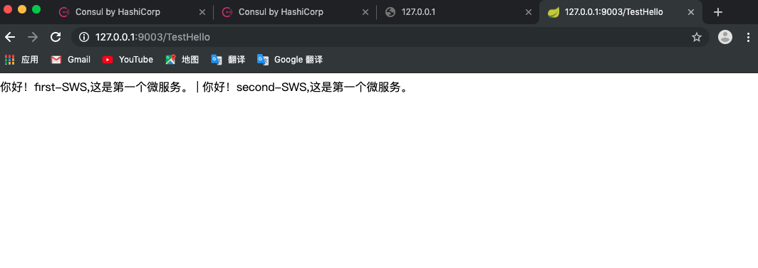 consul服务发现mysql consul server_Spring Cloud_10