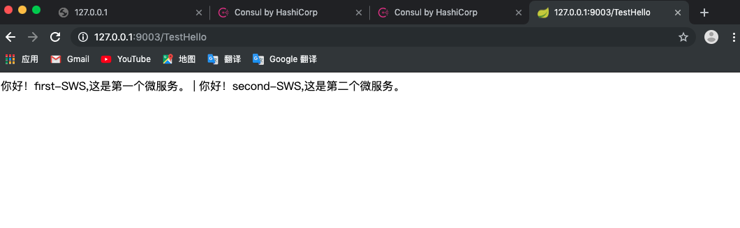 consul服务发现mysql consul server_Spring Boot_14