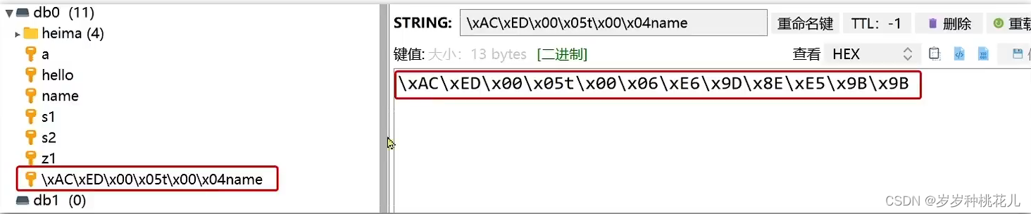 data redis spring 下载 spring data redis lettuce_序列化_09