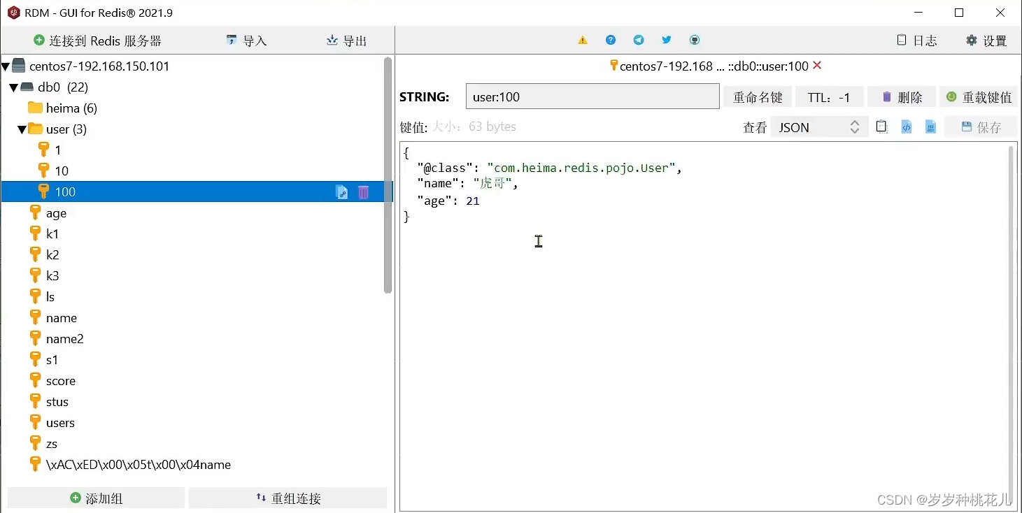 data redis spring 下载 spring data redis lettuce_Redis_12