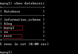 dbcp mysql 增删改查 mysql增删改查的命令_字段_02