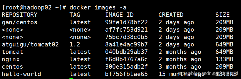 docker image 文件在哪里 docker run image id_容器_03