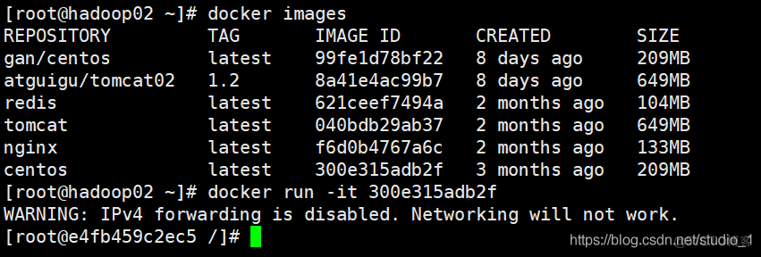 docker image 文件在哪里 docker run image id_容器_17