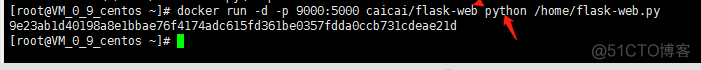 docker p run 作用 docker run -it --rm_flask_08