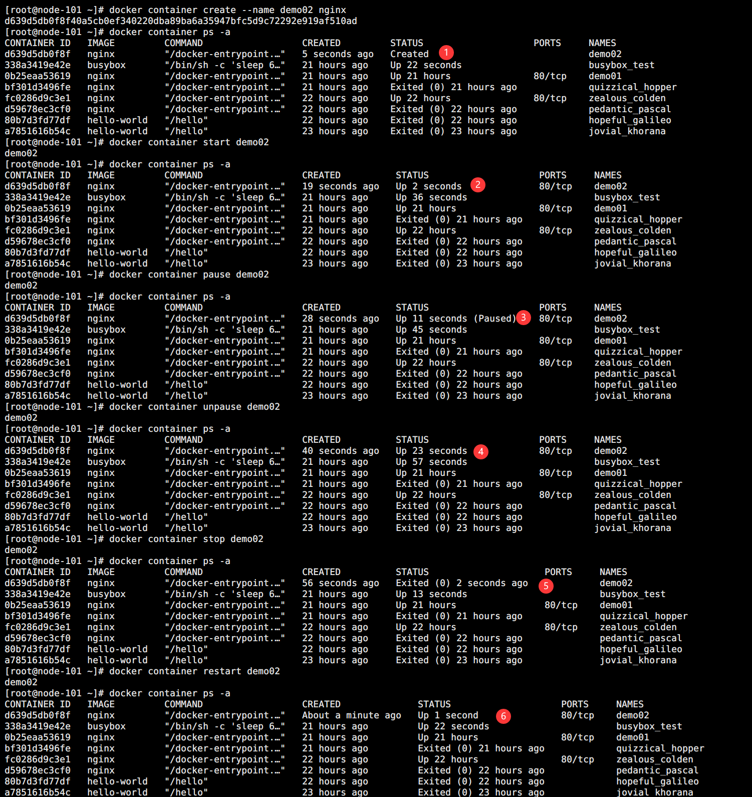 docker ps容器id是端口吗 docker container ps_kubernetes_11