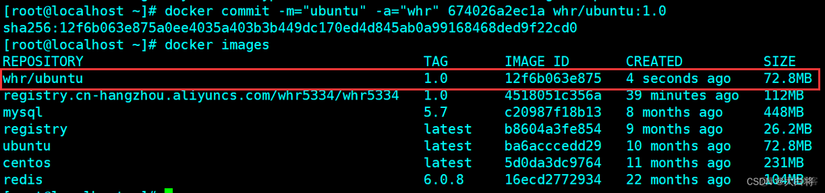 docker设置阿里源 docker部署到阿里云_私有库_19