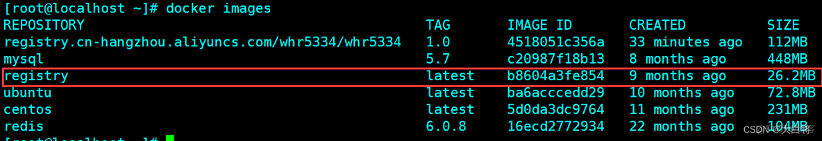 docker设置阿里源 docker部署到阿里云_私有库_17