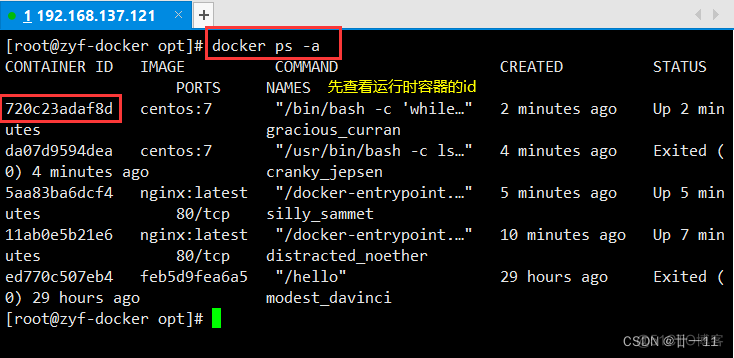 docker linux 查看 镜像 docker如何查看镜像_docker linux 查看 镜像_30