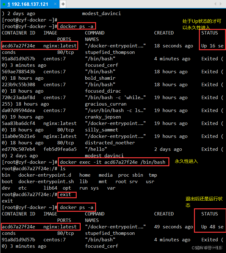 docker linux 查看 镜像 docker如何查看镜像_容器_33