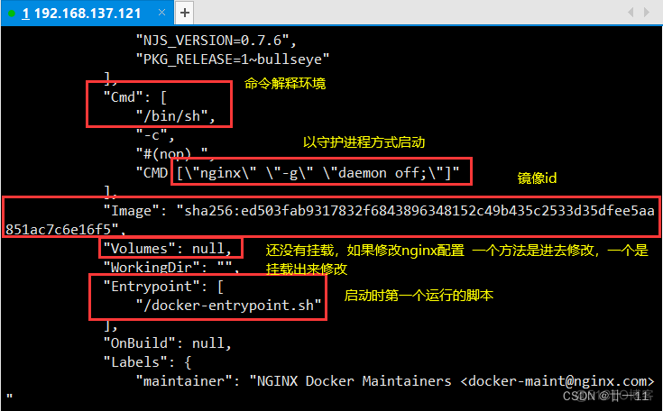 docker linux 查看 镜像 docker如何查看镜像_容器_12