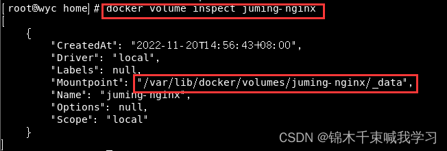 docker postgres容器持久化 docker 数据持久化_docker_04