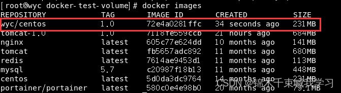 docker postgres容器持久化 docker 数据持久化_数据_05