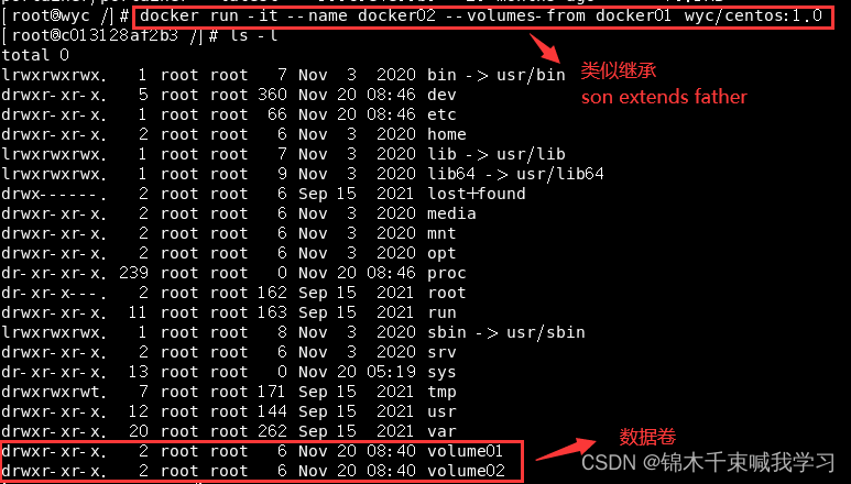 docker postgres容器持久化 docker 数据持久化_linux_10