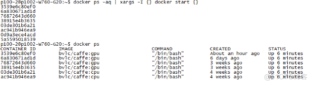 docker 发音 docker 使用教程_进入容器_07