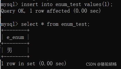 enum mysql 使用 enum mysql语法_创建表_02