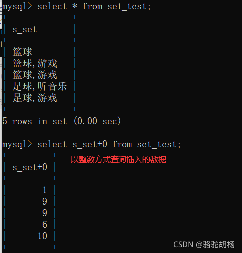 enum mysql 使用 enum mysql语法_database_10