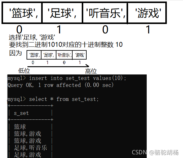 enum mysql 使用 enum mysql语法_mysql_07