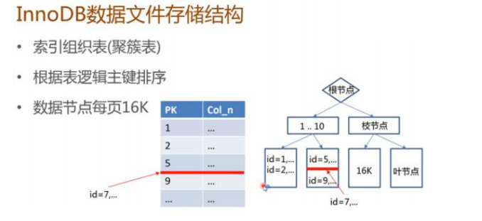 epub mysql内核innodb mysql内核:innodb存储引擎_回滚_03