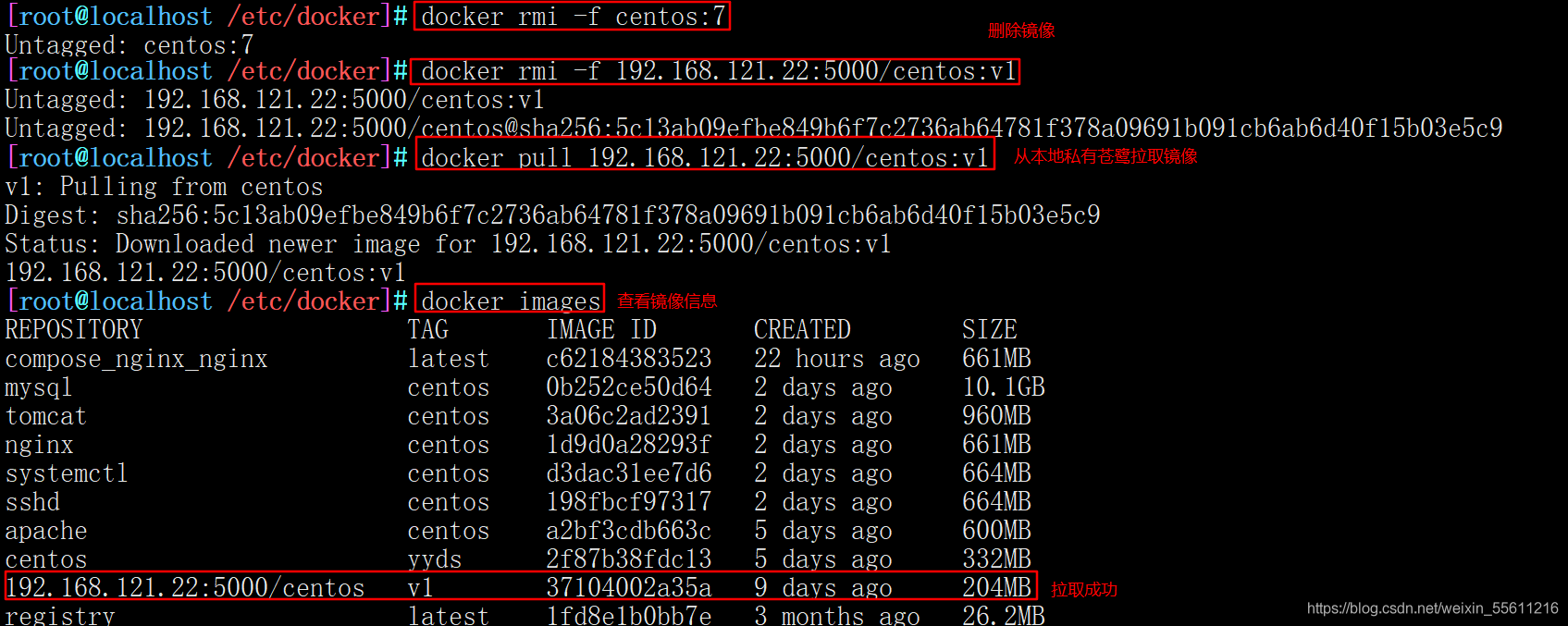 docker 远程私有仓库 docker离线搭建私有仓库_Docker_05