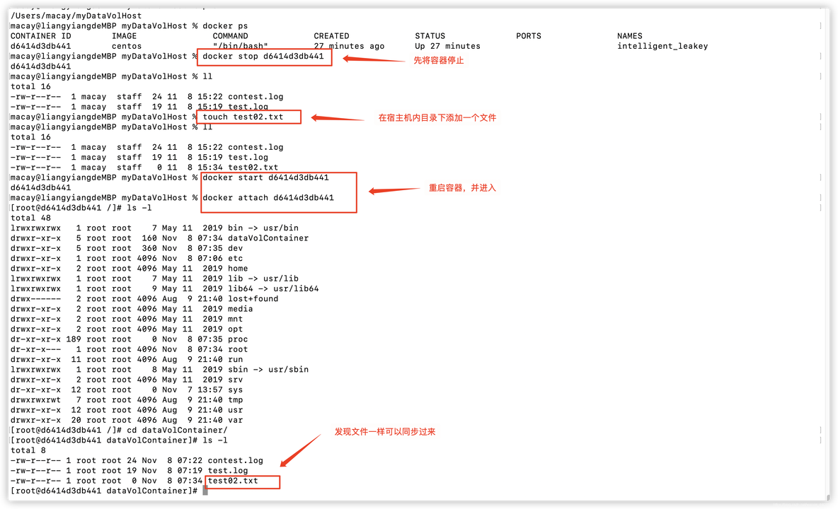 docker不建议把数据库部署 docker 数据_docker不建议把数据库部署_05