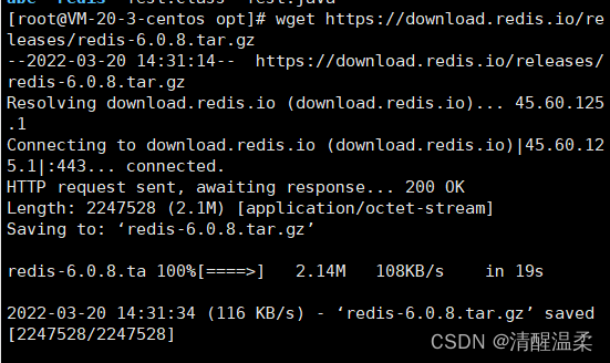 redis server是什么意思 redis是什么意思?_redis_03