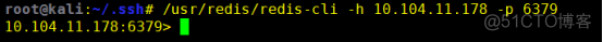getshell redis未授权 kali redis未授权_sed_04