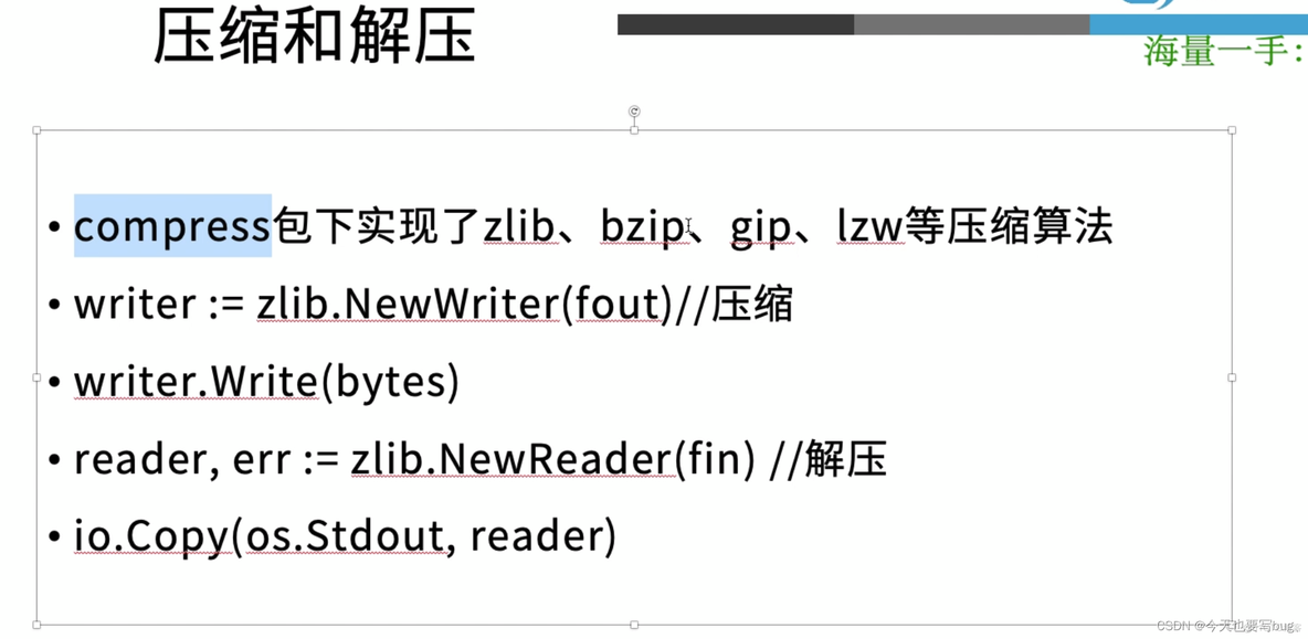 go语言标准库源码解析 go语言常用标准库_json_07