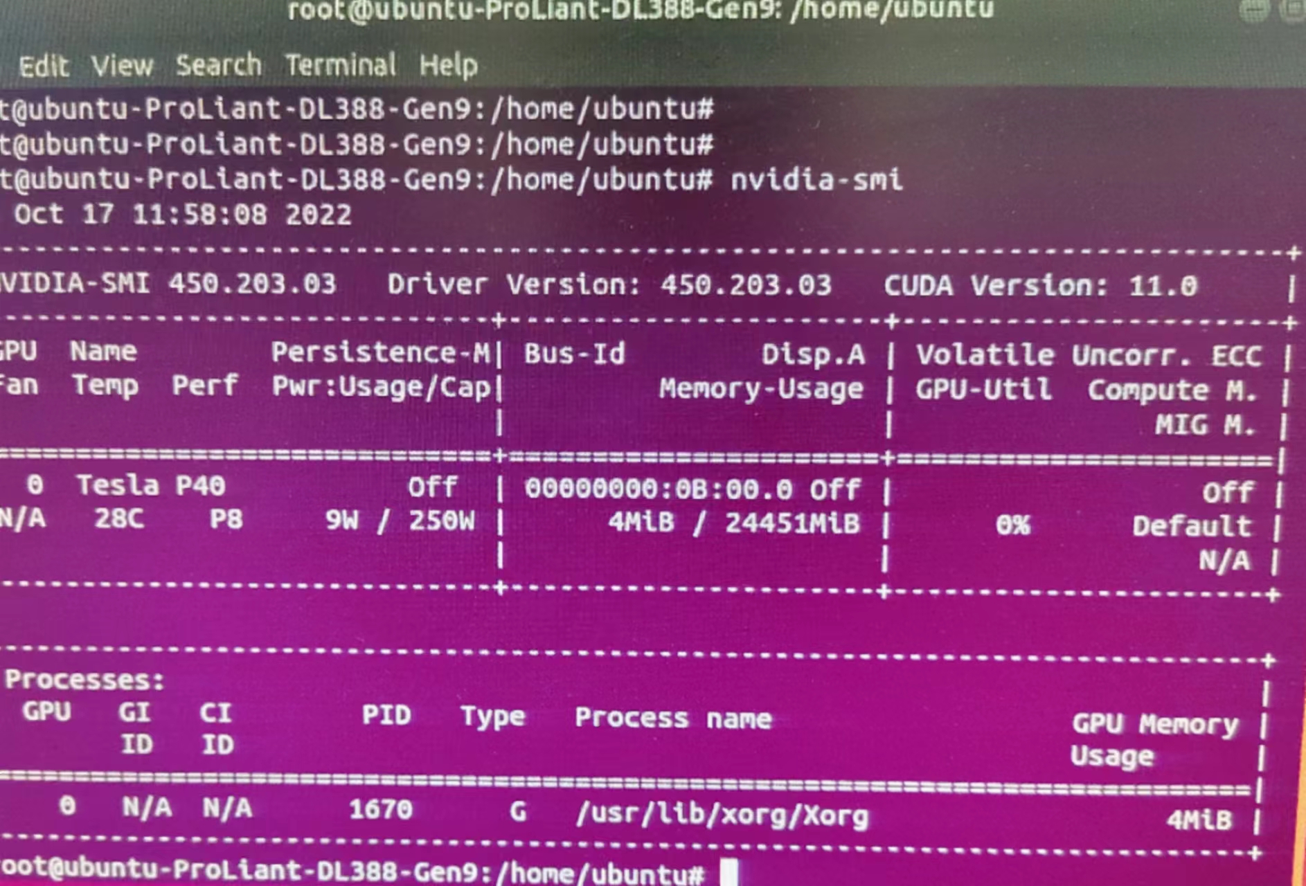 gpu 服务器用anaconda装pytorch 服务器安装gpu_服务器_07