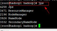 hadoop2 最多支持几个namenode hadoop至少几个节点_IP_07