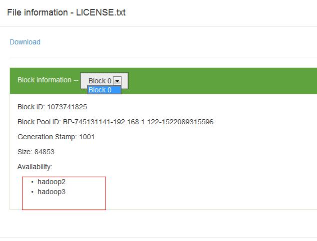 hadoop2 最多支持几个namenode hadoop至少几个节点_IP_10