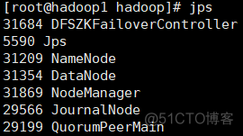 hadoop集群 分配服务器 存放hadoop集群服务器_HDFS_05