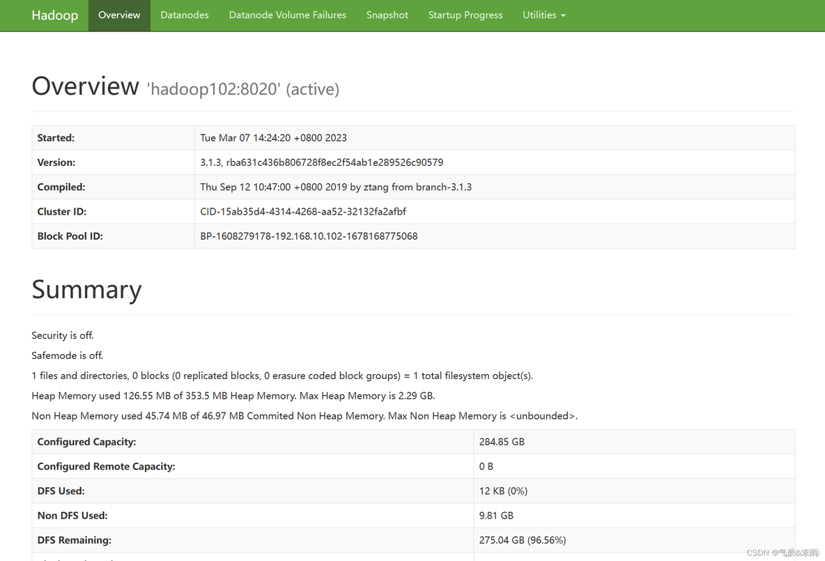 hadoop linux 环境变量 配置 hadoop配置环境变量命令_配置文件_27