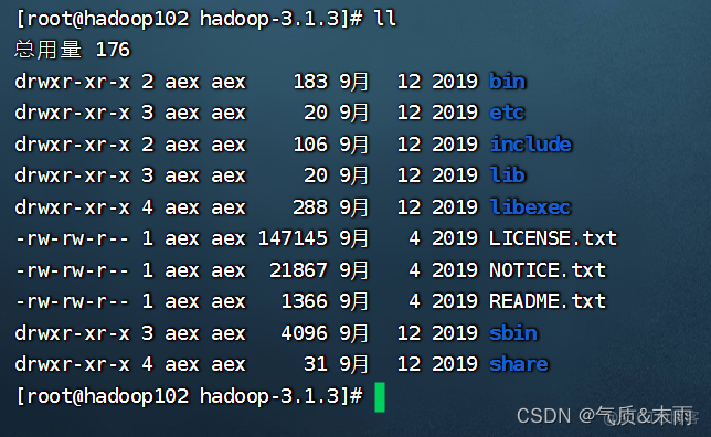 hadoop linux 环境变量 配置 hadoop配置环境变量命令_配置文件_09