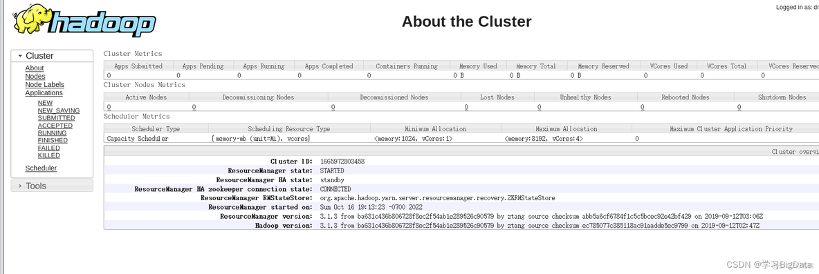 hadoop 集群空间 hadoop集群模式_大数据_18