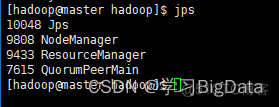 hadoop 集群空间 hadoop集群模式_大数据_19