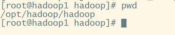 hadoop主机安装 hadoop3.1.3安装详细步骤_hadoop_03