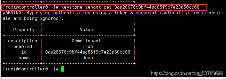 heat openstack 安装 openstack组件安装_环境变量_47