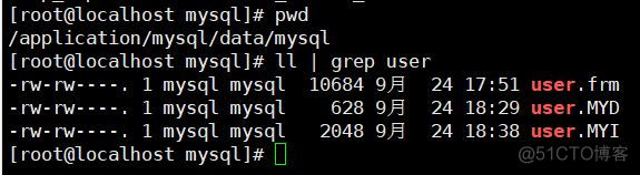 innodb逻辑 mysql mysql逻辑表_innodb逻辑 mysql_02